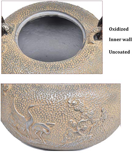 Xiaozhan Tetera De Hierro Colado Japonesa 1.2L, Grande Antióxido Teteras para Vitroceramica, Inducción Y Gas