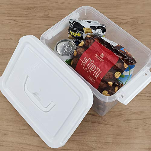 Yarebest Caja de Almacenamiento Transparente de 4 Paquetes, Cajas de Plástico con Tapas