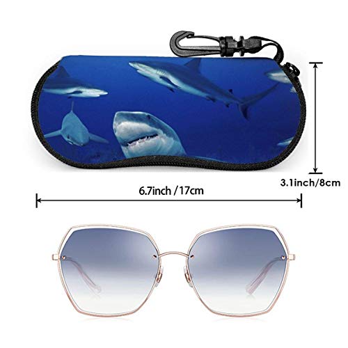 YZXC Estuche para gafas de sol, bandera de las Islas Vírgenes de los Estados Unidos, color blanco, talla única