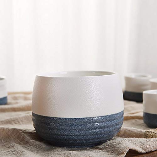 ZAT Sake japonés Juego de Tazas, de cerámica, Esmalte del Copo de Nieve de Rosca, Chino Vino cálido Petaca, 9 Piezas Set (Blanco Azul) (Color : B)
