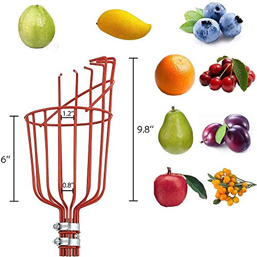 Z@SS Recogedor de Frutas con Poste de extensión de 1,6 m, Poste recolectar Frutas Adecuado para la recolección de Manzanas, Melocotones, caquis, Kiwis, albaricoques y Otras Frutas