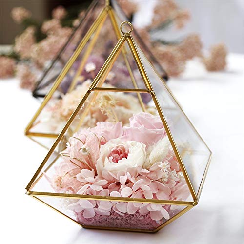 Allibuy-Festival Rosa eterna Invernadero de Cristal de joyería Cajas de Joyas Nunca marchitadas claveles Flores de Rose Regalo for el Día de la Madre símbolo significativo del Amor