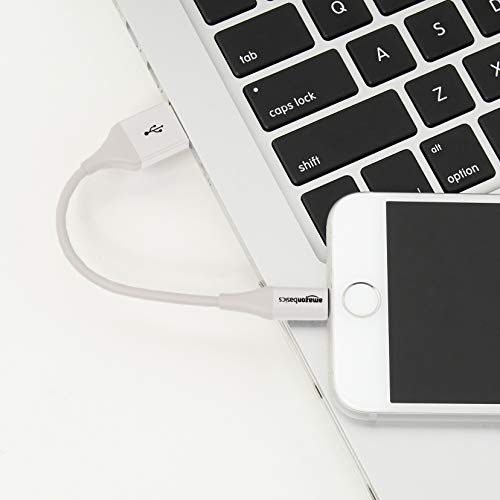 AmazonBasics - Cable de conector Lightning a USB A para iPhone y iPad - 10 cm - 1 unidad, Blanco