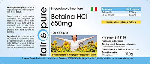 Betaína HCl 650mg - Clorhidrato de Betaína - Vegana - Alta pureza - 120 Cápsulas