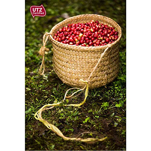 CAFES GUILIS DESDE 1928 AMANTES DEL CAFE - Café Molido de Grano Arábica Orgánico Bio Eco Natural Tueste Artesanal 1 kg