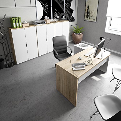 Habitdesign 0F5655A - Mueble Auxiliar despacho, Modelo Office, Blanco Artik y Roble Canadian, Medidas: 119 x 80 x 32,5 cm