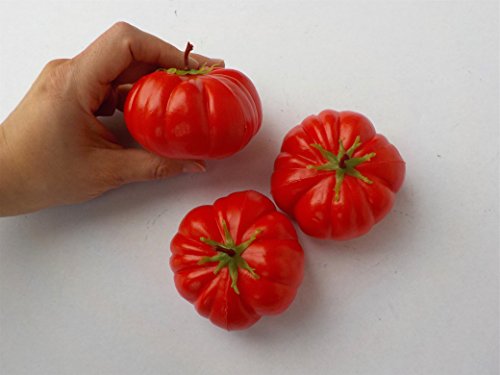 Juego de 3 Tomates Rojo – hohlattr appen de plástico, alimentos, imitación Fake Food, decoración, verduras falsa, Idea de Regalo, Food Model