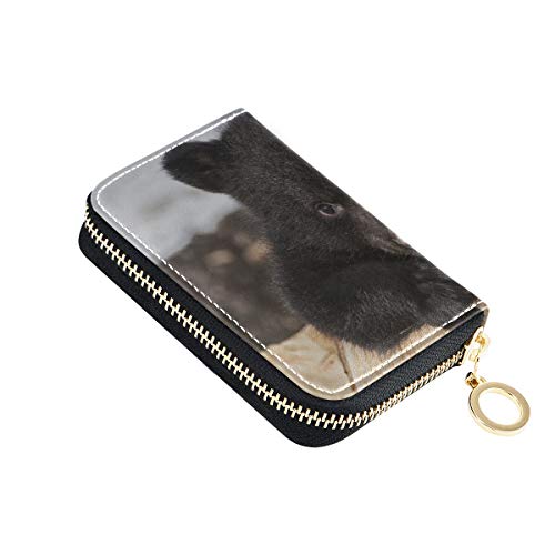 Monedero/Tarjeta de crédito Monedero American Black Bear Cub Escalada Naipes Monedero para Mujer Delgado Cuero PU Cremallera Alrededor Tamaño Compacto Soporte para Tarjetas de crédito Impermeable p