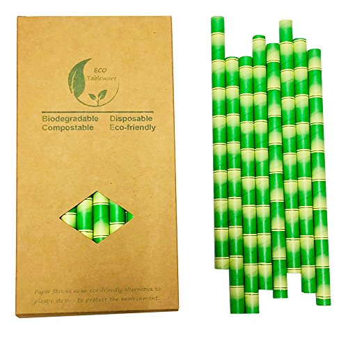 Pajitas de papel de bambú extraanchas de 10 mm para licuados de fruta y batidos con leche (caja de papel con 32 pajitas)