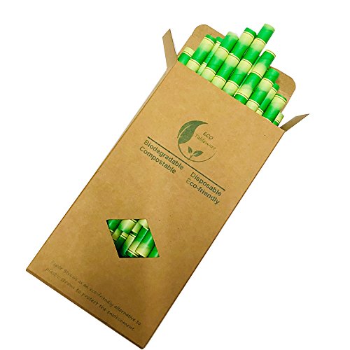 Pajitas de papel de bambú extraanchas de 10 mm para licuados de fruta y batidos con leche (caja de papel con 32 pajitas)