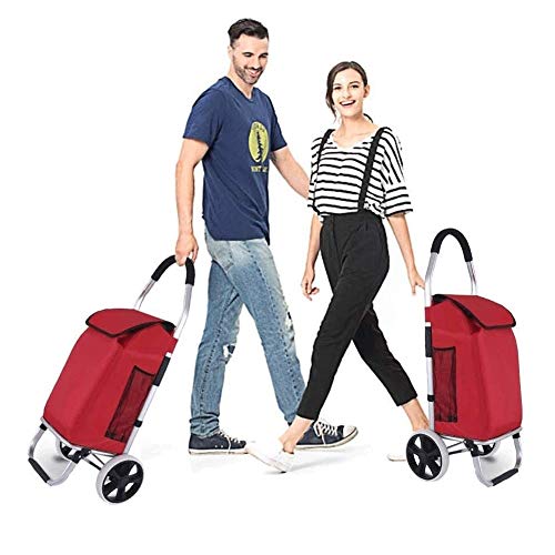 QILO Carrito de la Compra Carrito de Compras Plegable Impermeable con Bolsa Desmontable y diseño Plegable, Ligero y portátil