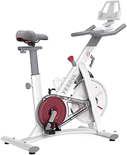 Qinmo Hilado, Hogar Bicicleta estática magnética Ultra silencioso Asiento Control Dinámico de Bicicletas Altura Ajustable Equipo de Entrenamiento Deportivo