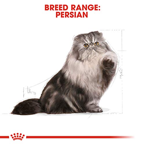 Royal Canin C-58614 Persian - 4 Kg