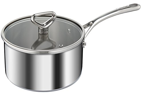 Tefal e4762444 Reserve Collection Triply 20 cm 3l, inducción + tapa cazo (acero inoxidable, Gris