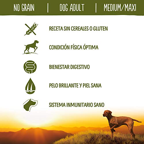 True Instinct No Grain Pienso para Perros Medium Adult con Pollo - 12000 gr