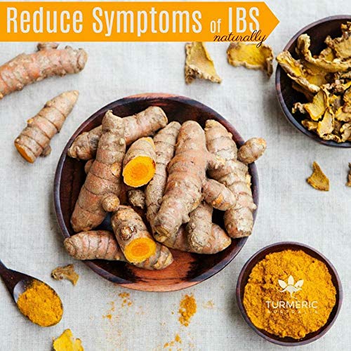 Turmeric with Ginger, Black Pepper and Multiply Plus Probiotic Formula- 33 servings - restore digestive balance, maintain intestinal health, support immune system. Made in Australia 500 ml Liquid.