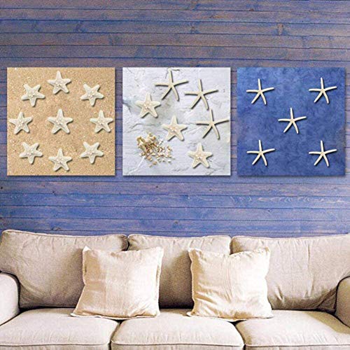 Yixuan 20PCS Estrellas de mar Estrella de mar Natural Estrella de mar Decoracion Molde Estrella mar decoración de Bodas/Fiesta temática en la Playa/Decoraciones para el hogar/Bricolaje