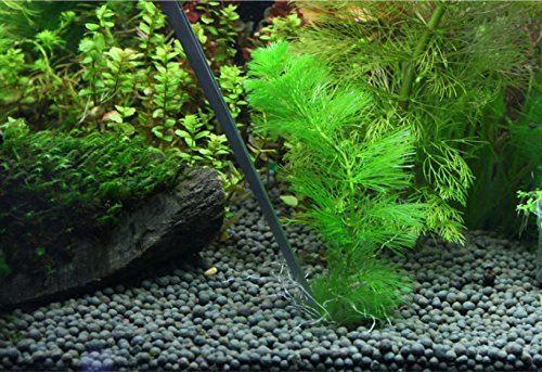 3 en 1 Acero Inoxidable Aquarium Tank Pinzas Tijeras Espátula Juego de herramientas para Acuario Plantas