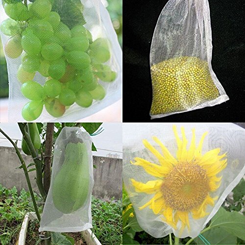 30 bolsas de protección para frutas y flores de jardín contra mosquitos e insectos, etc., de TTPLANET