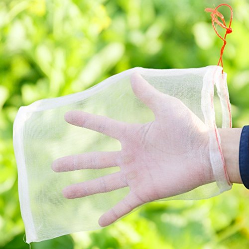 30 bolsas de protección para frutas y flores de jardín contra mosquitos e insectos, etc., de TTPLANET
