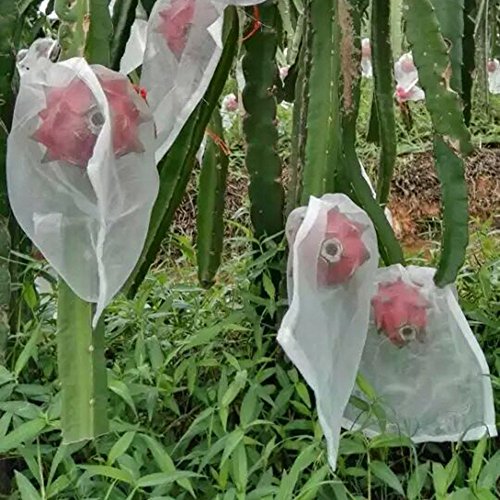 30 bolsas de protección para frutas y flores de jardín contra mosquitos e insectos, etc., de TTPLANET