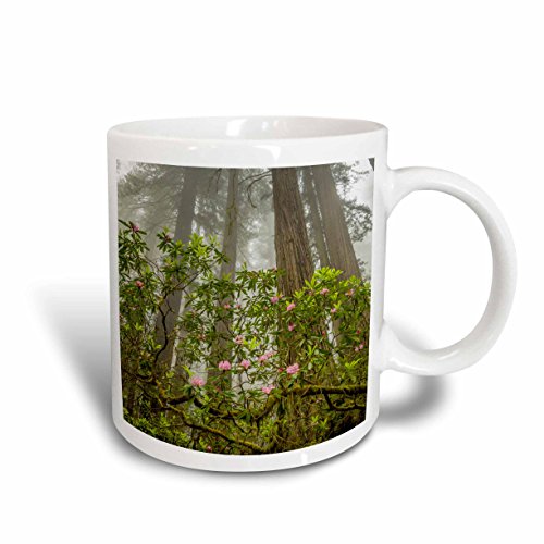 3dRose California, Redwoods National Park. Taza de cerámica y rododendron, 10,16 x 7,62 x 9,52 cm, Color Rojo