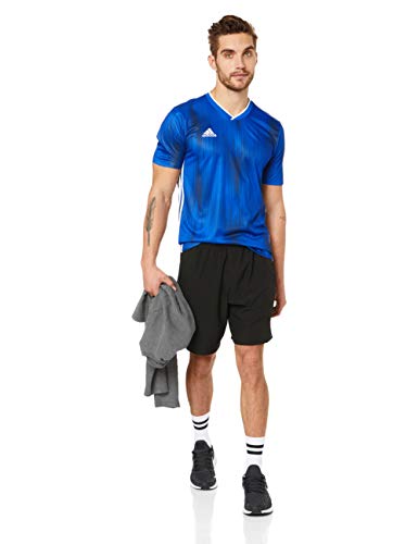 adidas Tiro 19 JSY Camiseta de Manga Corta, Hombre, Bold Blue/White, S