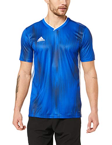 adidas Tiro 19 JSY Camiseta de Manga Corta, Hombre, Bold Blue/White, S