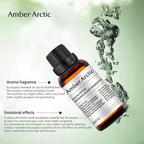 AMBER ARCTIC Eucalipto Aceite Esencial Para Difusor (30Ml), Aceite de Eucalipto de Terapia de Plantas Orgánicas Frescas 100% Puras