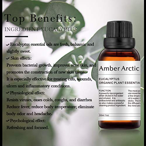 AMBER ARCTIC Eucalipto Aceite Esencial Para Difusor (30Ml), Aceite de Eucalipto de Terapia de Plantas Orgánicas Frescas 100% Puras