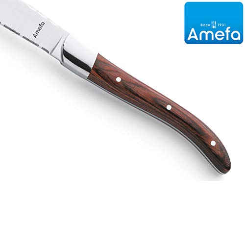 Amefa Royal Steak 252000WP00K35 - Juego de Cuchillos de Carne con Estuche (6 Piezas)