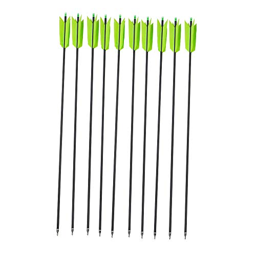 AMEYXGS 6/12 Piezas Tiro con Arco Flechas de Carbono 400 Spine Flechas de Gripe con 4 Plumas Naturales Reales para Arcos Compuestos y Recurvos (Verde, 6pcs)