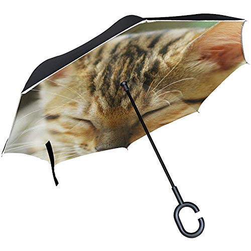 Animal Gato Bengala Adorable Mullido Pequeño Lindo Mascota Paraguas invertido Paraguas Reversible Grande de Doble Capa para Coche