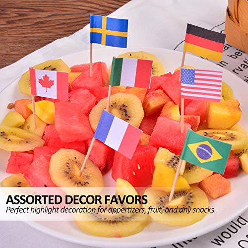 Anley Bandera de Palillos de Dientes de 100 países Diferentes – Impresión de Doble Cara vívida y púa Lisa – Decoración de Fiesta cóctel Fruit Stick Cupcakes Toppers (100 Piezas)