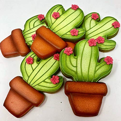 Ann Clark Cookie Cutters Cortador de galletas cactus en maceta - 10,2 cm