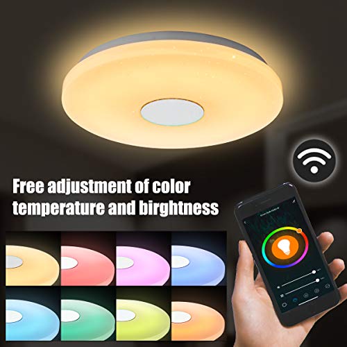 ANYES Luz de techo moderna inteligente Wifi Control de voz Adecuado para sala de estar Dormitorio Cocina, Lámpara de techo LED de color atenuado