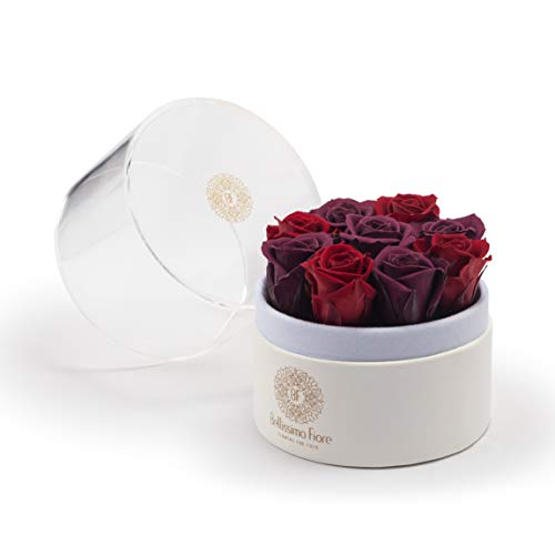 Bellissima Fiore Rosa Burdeo-Violeta Preservada Flores Decoración Habitación Regalo Original Cumpleaños, Aniversario, Madres, San Valentín, Sant Jordi, Novios Mesa Auxiliar Accesorio Rosas Eternas