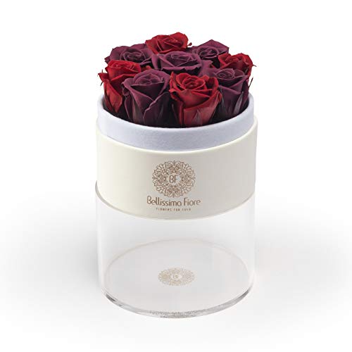 Bellissima Fiore Rosa Burdeo-Violeta Preservada Flores Decoración Habitación Regalo Original Cumpleaños, Aniversario, Madres, San Valentín, Sant Jordi, Novios Mesa Auxiliar Accesorio Rosas Eternas