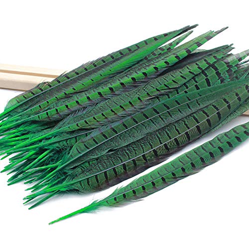 BLEVET 20PCS plumas de cola de faisán naturales 40-45cm decoración para boda, fiestas de cumpleaños MZ080 (Green, 40-45cm)