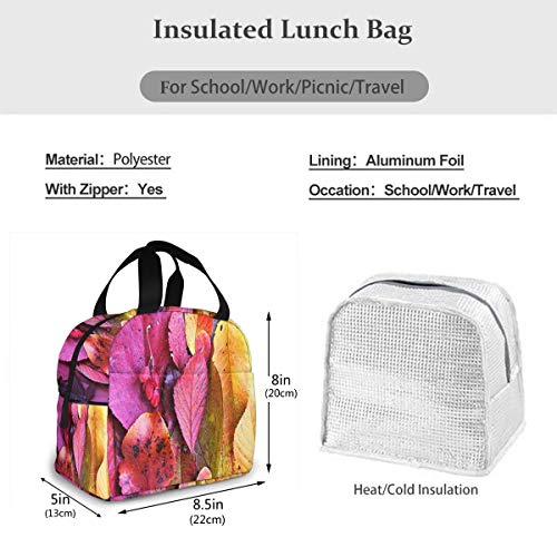 Bolsa Térmica Almuerzo Impermeable Fiambrera Isotermica, Bolsa Almuerzo Bolsa Comida Hombres, Mujeres y Niños Hojas De Otoño Paleta De Colores Arco Iris