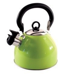 Boquilla de silbato de acero inoxidable ligero de 2,5 l con boquilla tradicional para estufa Hobo – verde – por Guilty Gadgets