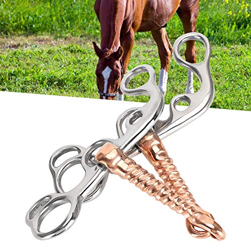 Brocas de Caballo Roscadas de Acero Inoxidable Suministros de Varilla de Cobre de Entrenamiento