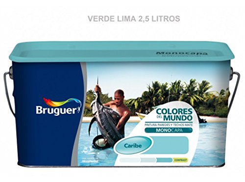 BRUGUER 5160739 Pintura PLÁSTICA Colores M.Contrast Verde Lima 2,5 L, Negro