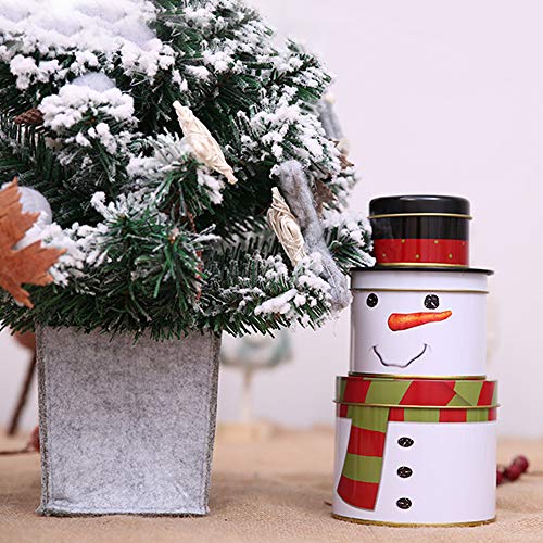 Caja de Lata Navidad,3 en 1 Xmas Muñeco de Nieve vacío Cash Cake Biscuit Jewelry Gift Canister Cookie Tins para Party Home Decor