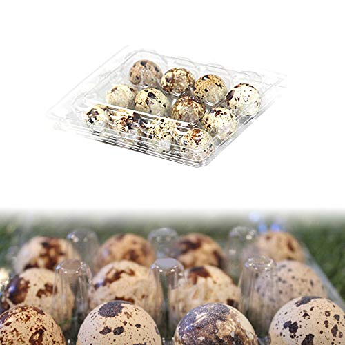 Cajas de huevos de codorniz - Bandeja de huevos apilable con tapa, caja de almacenamiento Organizador de contenedor de huevos PVC Plástico para el hogar de la cocina