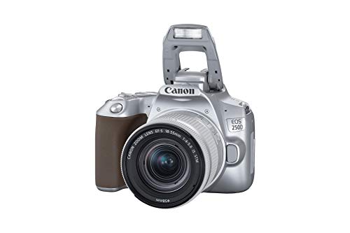 Canon EOS 250D - Cámara digital (24,1 MP, 6000 x 4000 Pixeles, CMOS, 4K Ultra HD, pantalla táctil) plata - kit con cuerpo y EF-S 18-55IS STM