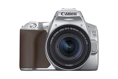 Canon EOS 250D - Cámara digital (24,1 MP, 6000 x 4000 Pixeles, CMOS, 4K Ultra HD, pantalla táctil) plata - kit con cuerpo y EF-S 18-55IS STM