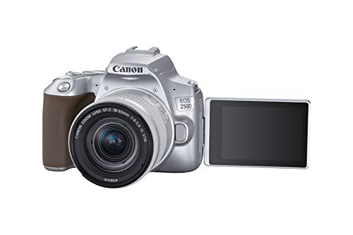 Canon EOS 250D - Cámara digital (24,1 MP, 6000 x 4000 Pixeles, CMOS, 4K Ultra HD, pantalla táctil) plata - kit con cuerpo y EF-S 18-55IS STM