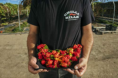 Chilli Hills chiles deshidratados CAROLINA REAPER. Los chiles más picantes del mundo cultivados en nuestro huerto familiar y deshidratados a conciencia para conservar su sabor. 15 a 18 piezas por bote