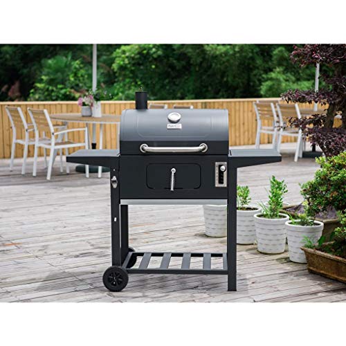 CL- Chun Li Royal Gourmet Parrilla de carbón, Barbacoa al Aire Libre de Picnic, Camping, Patio Trasero Cocinar, Negro BBQ (Color : Black)